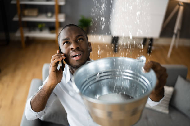 Best Flood damage cleanup  in Panacea, FL